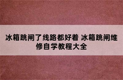 冰箱跳闸了线路都好着 冰箱跳闸维修自学教程大全